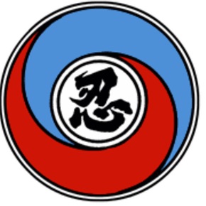 Hillingdon Shaolin Kung Fu School